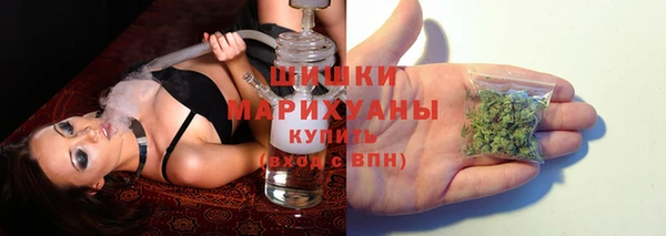 PSILOCYBIN Аркадак