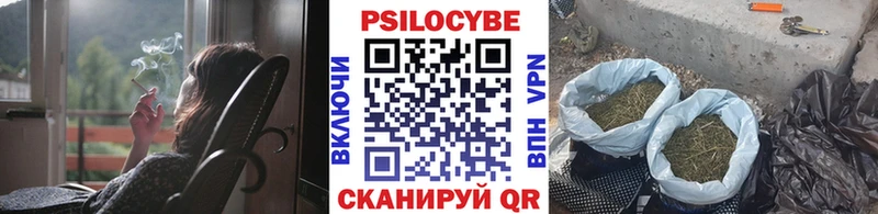 Галлюциногенные грибы Magic Shrooms  Петухово 